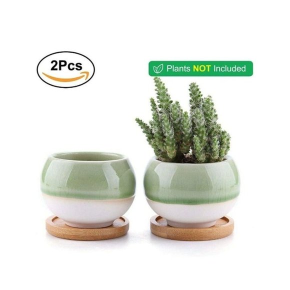 T4U Suculent Cactus Pots - Picture 4 of 4